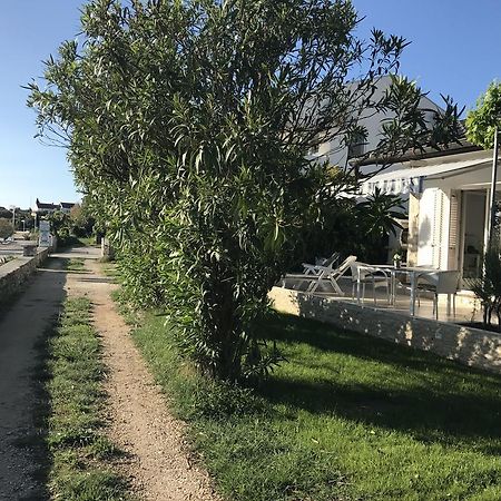 Apartment Puntica Petrcane Εξωτερικό φωτογραφία