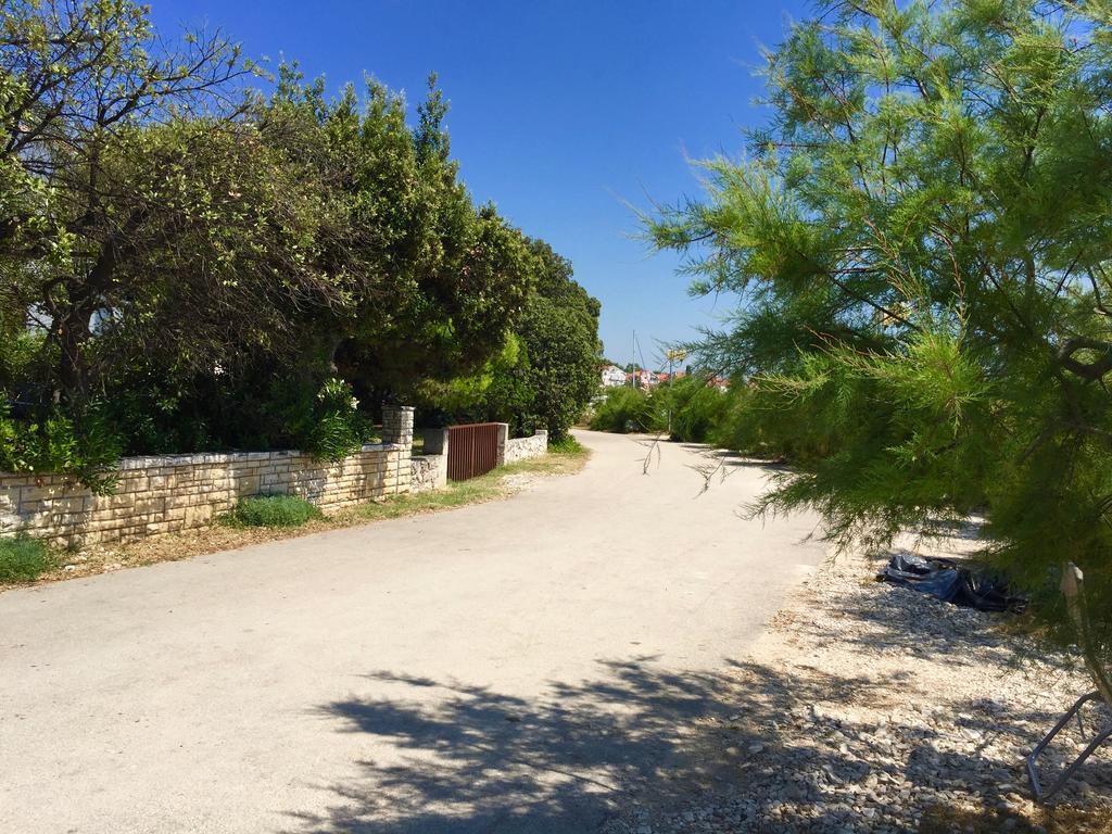 Apartment Puntica Petrcane Εξωτερικό φωτογραφία