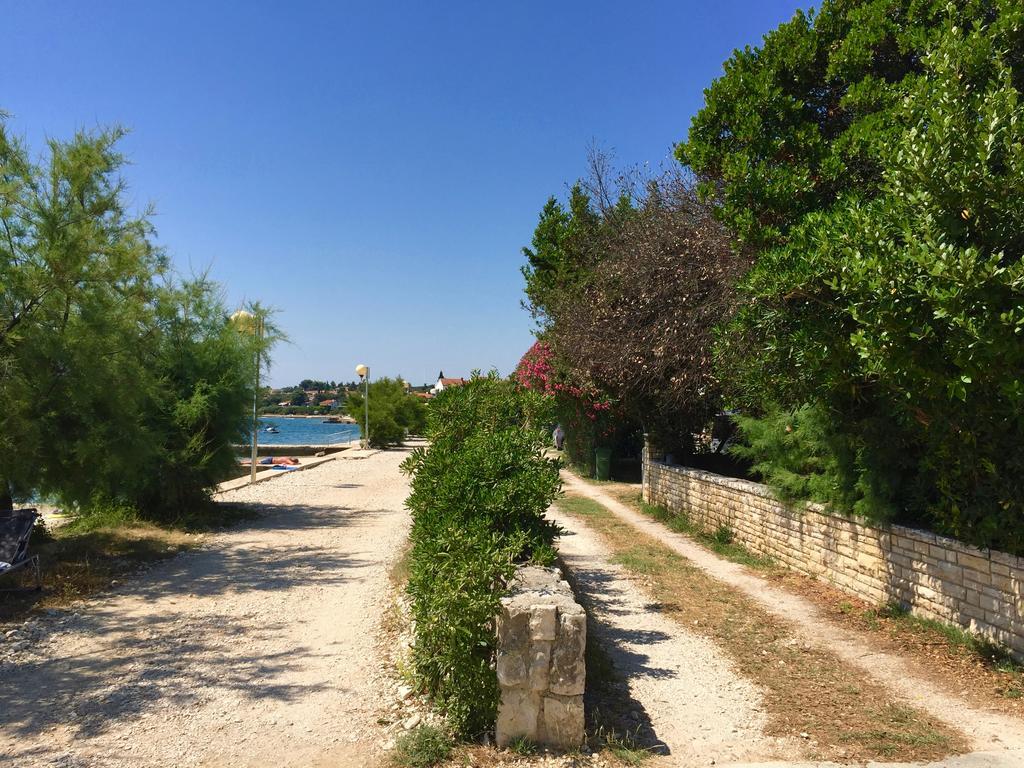 Apartment Puntica Petrcane Εξωτερικό φωτογραφία