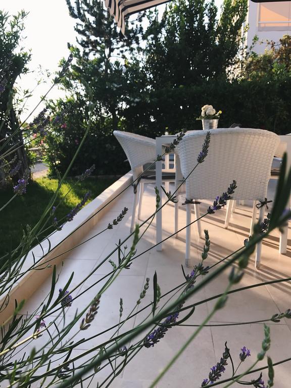 Apartment Puntica Petrcane Εξωτερικό φωτογραφία