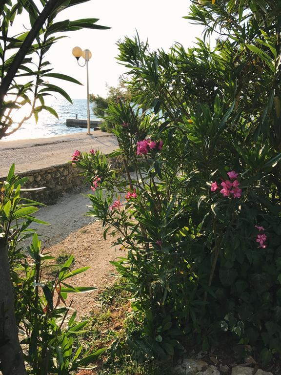 Apartment Puntica Petrcane Εξωτερικό φωτογραφία