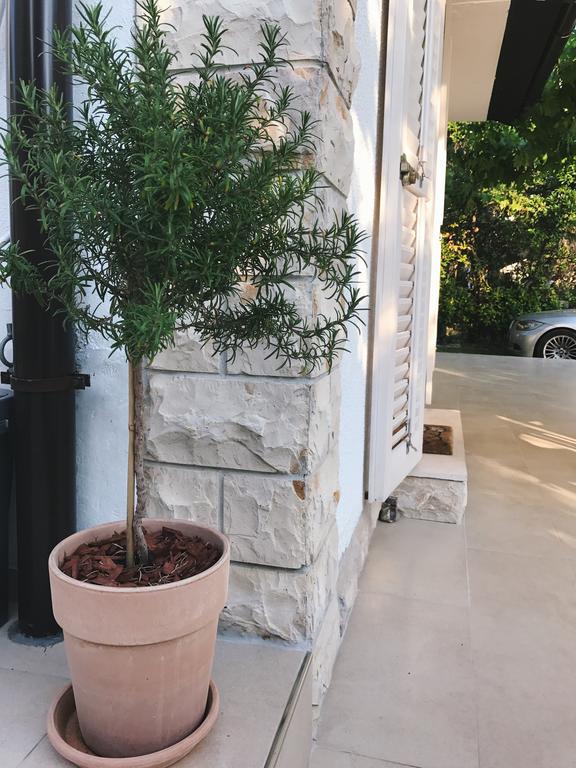 Apartment Puntica Petrcane Εξωτερικό φωτογραφία